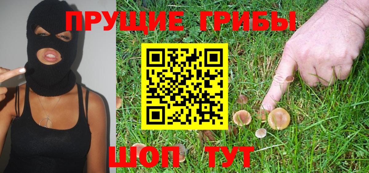 Можга  закладки  Вход с VPN  Галлюциногенные грибы мухоморы  Галлюциногенные грибы MAGIC MUSHROOMS 