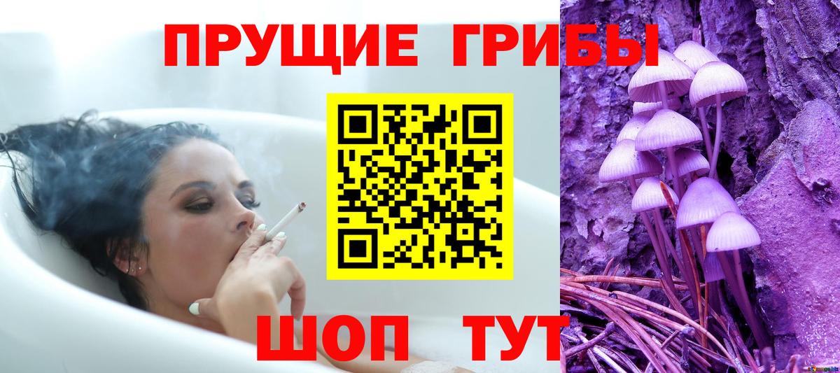 Галлюциногенные грибы ЛСД Можга