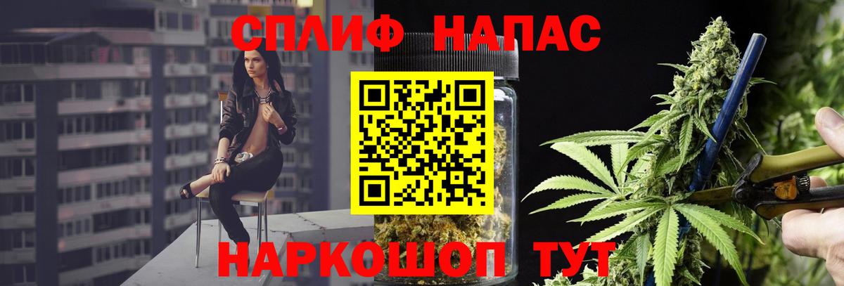 Конопля MAZAR Можга